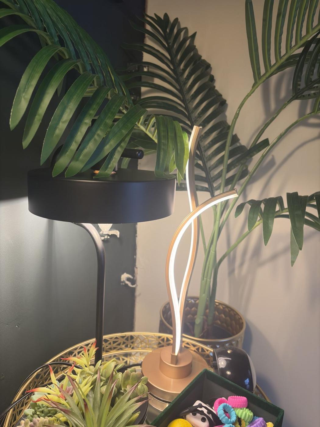 A softly lit corner with a lamp, palms and sensory toys